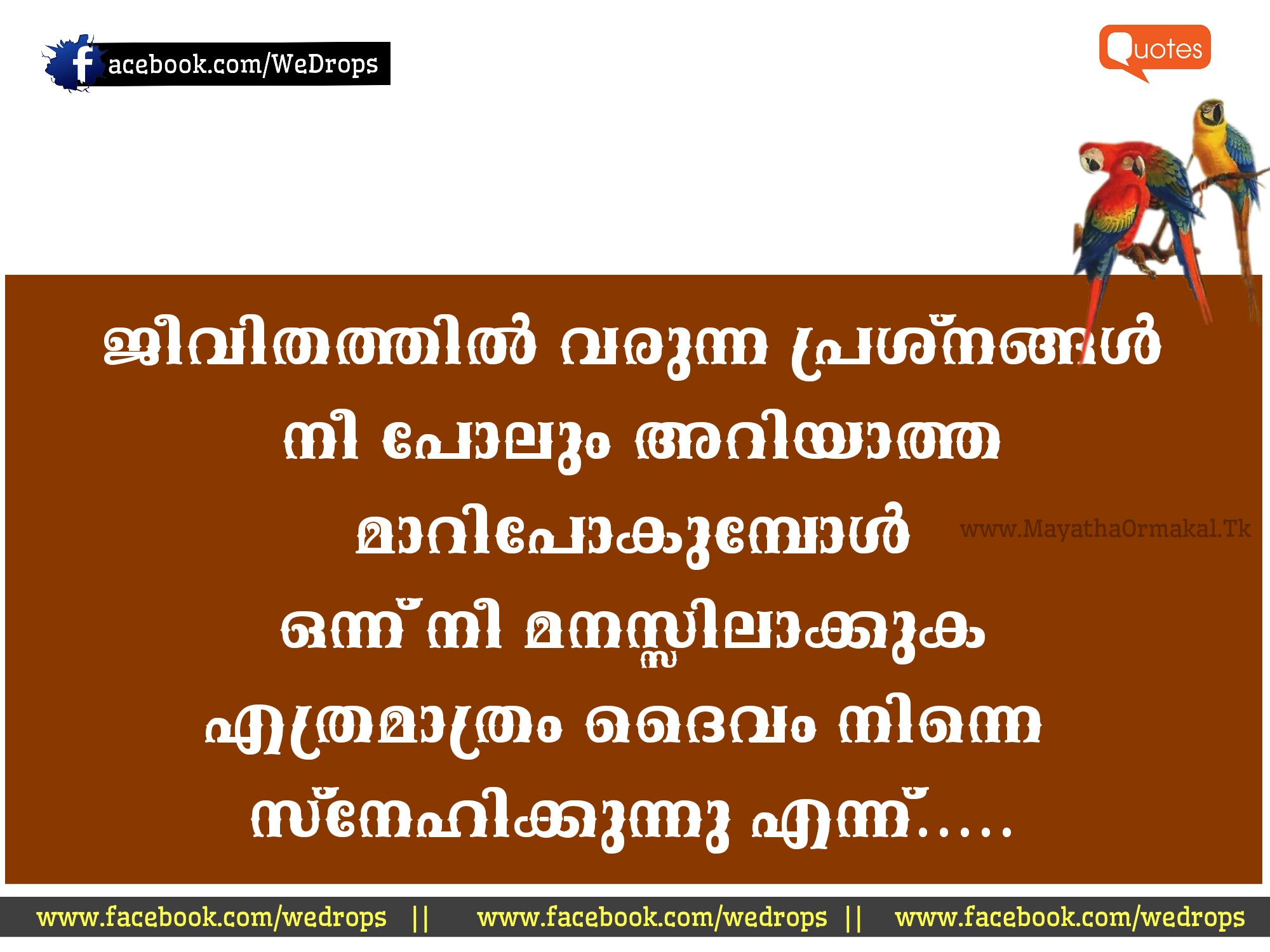 Malayalam life scraps and quotes malayalam great quotes about