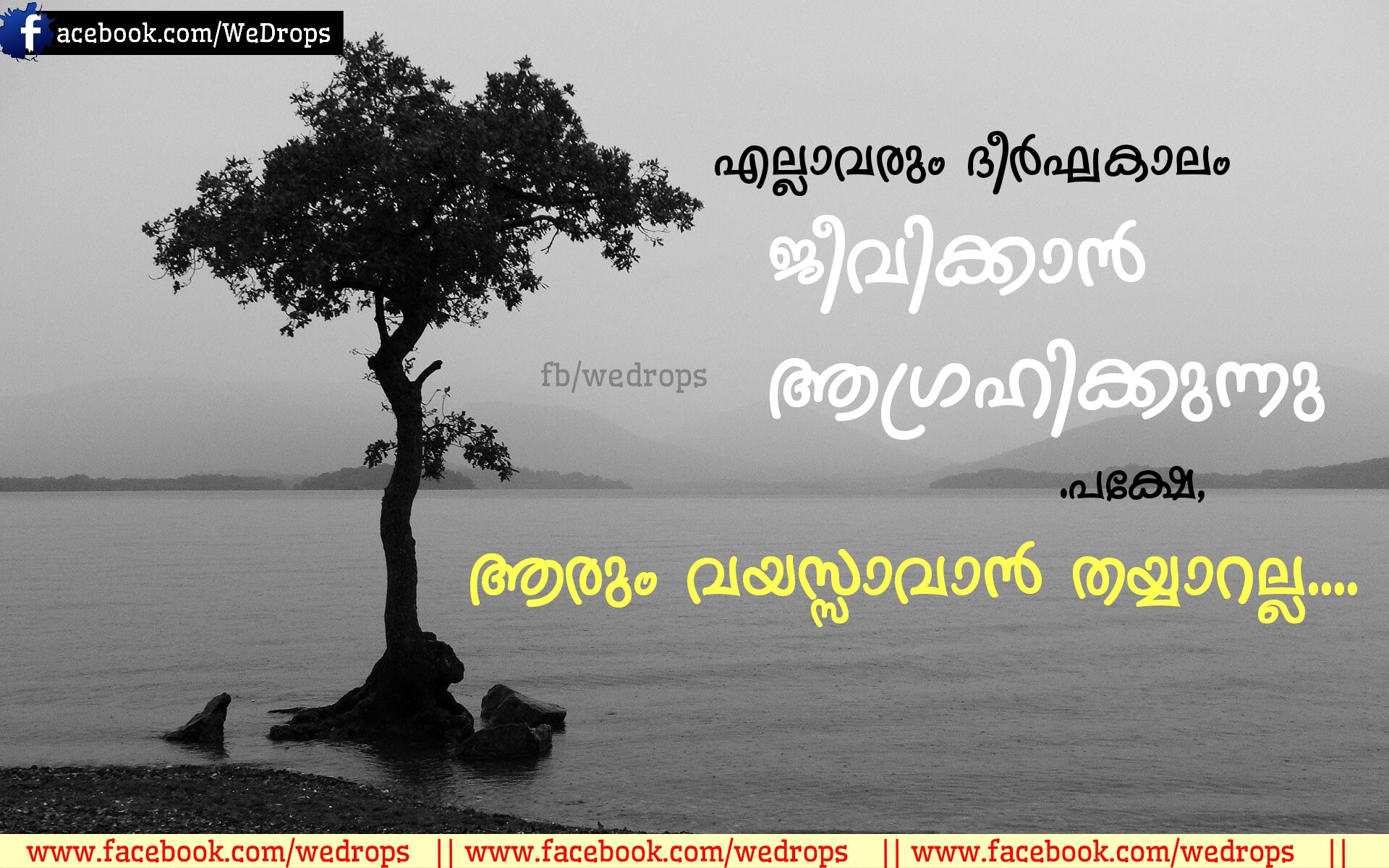Malayalam quotes and life quotes | Malayalam Scraps,Malayalam Quotes, Malayalam Greetings,Status,Sms,Wishes,malayalam cover photos,facebook  timeline cover photos,wallpaper
