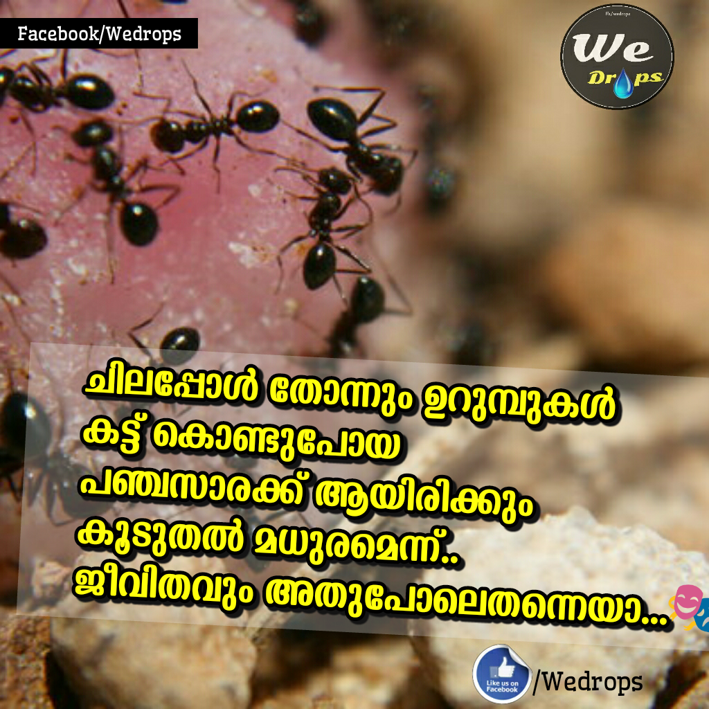 Malayalam Scraps & Quotes About Life